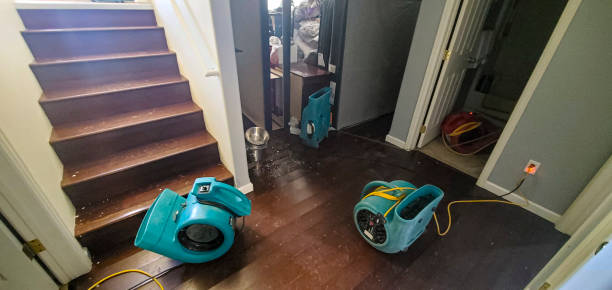 Best Water damage restoration near me  in Soap Lake, WA