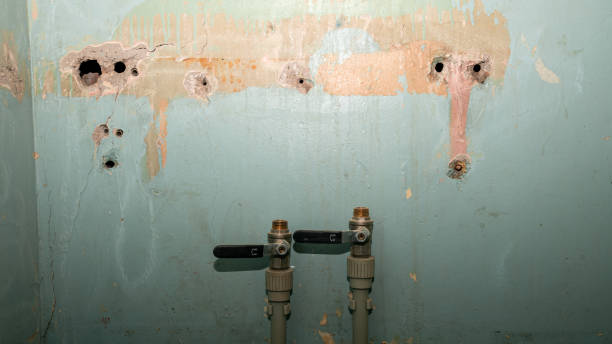 Best Professional water damage repair  in Soap Lake, WA